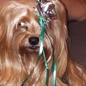 Meet your Posher, Sharon